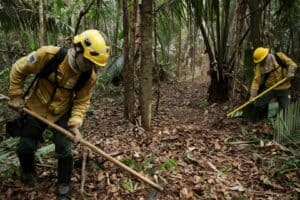 Funcionários abrem trilha para chegar a área desmatada da floresta amazônica