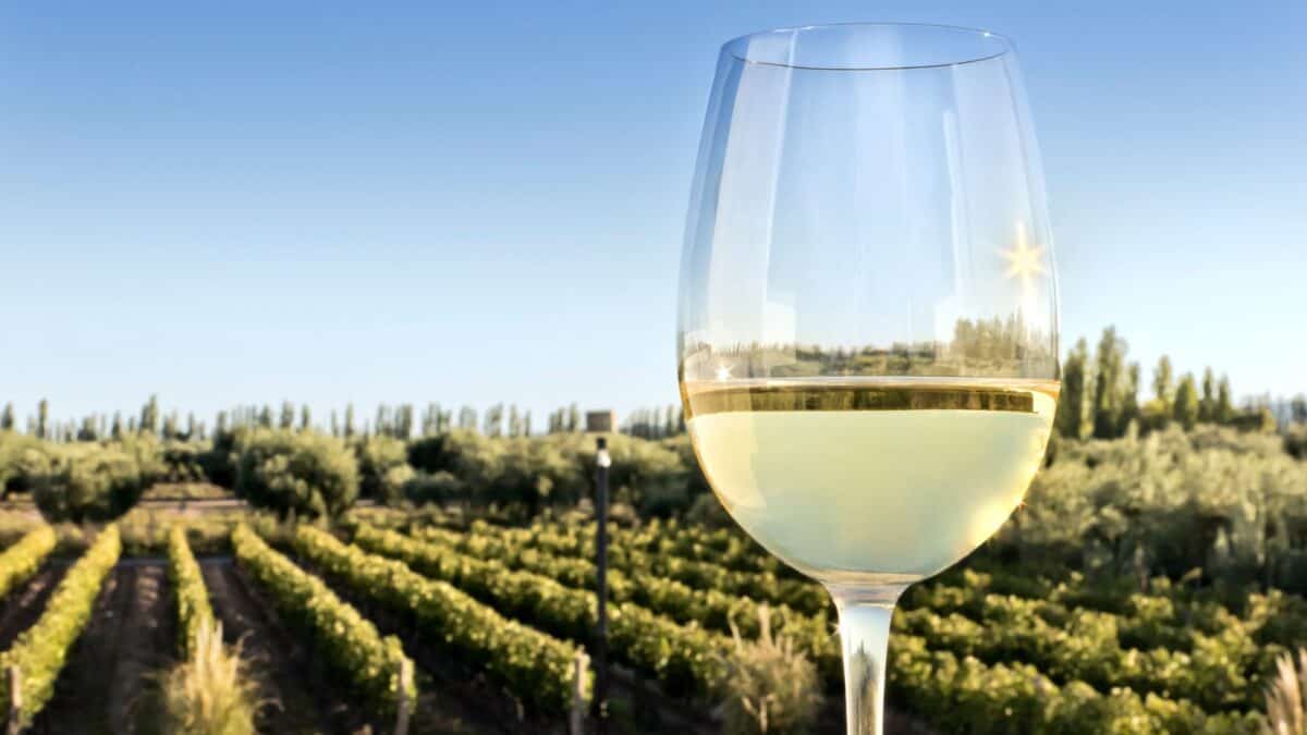 Estandes de produtores de vinho alemão na ProWine São Paulo